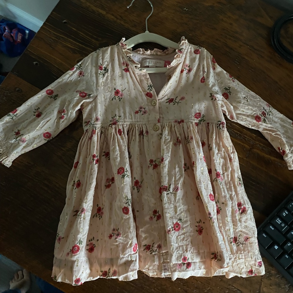 18-24M Pink Chicken Dress